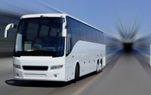Bus Charter Services Singapore: Comfortable and Reliable Group Transportation
